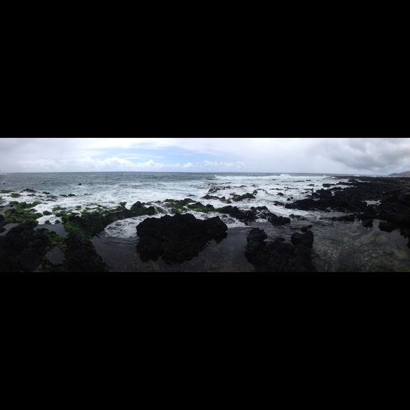 Meet your Posher, Denise - Picture 1 of 1